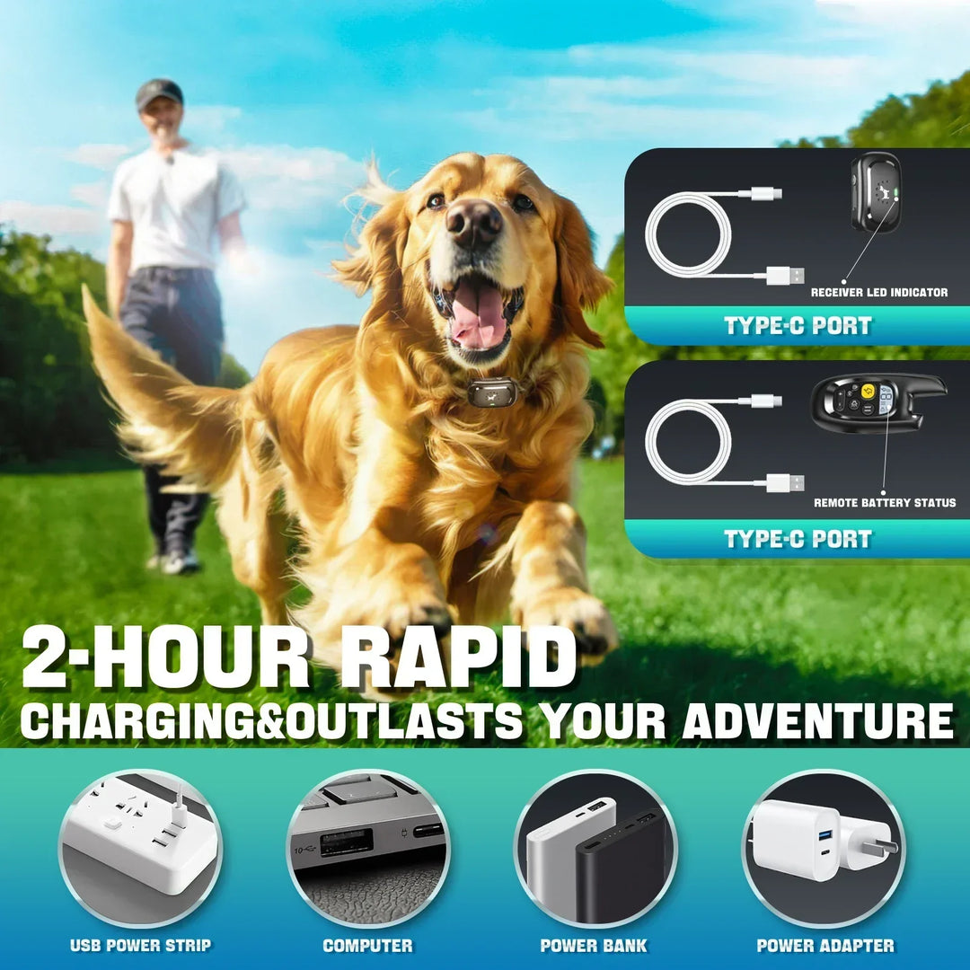 Lisslune | Dog Training Collar with Remote – Shock Lock, Sound & Vibration Modes, Waterproof, 1600ft Range