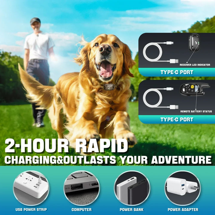 Lisslune | Dog Training Collar with Remote – Shock Lock, Sound & Vibration Modes, Waterproof, 1600ft Range