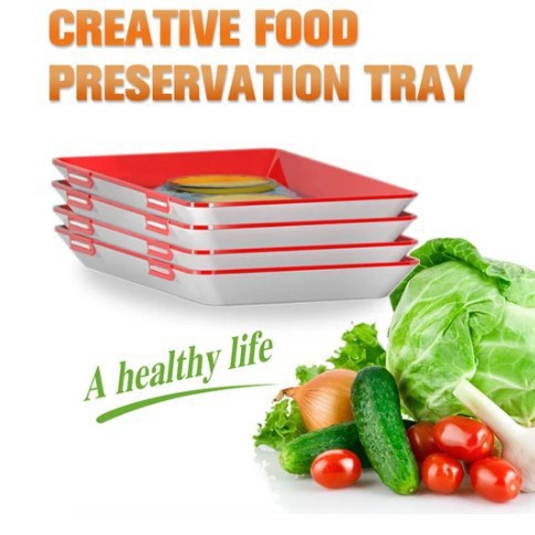 Lisslune | Creative Thin Food Storage Tray