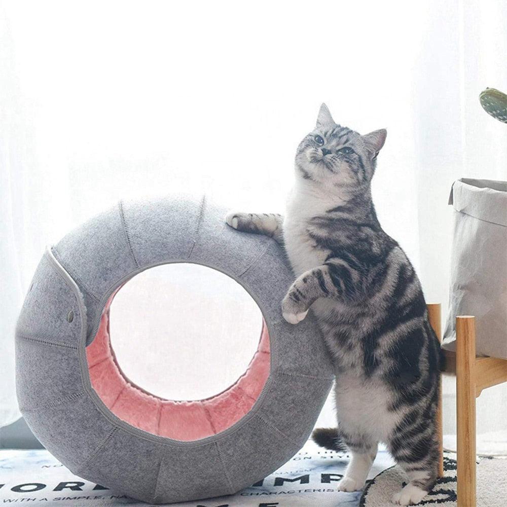 Lisslune | Cozy Conch Cat Shelter & Multifunctional Play Tunnel: The Perfect Escape for Your Friendly Cat
