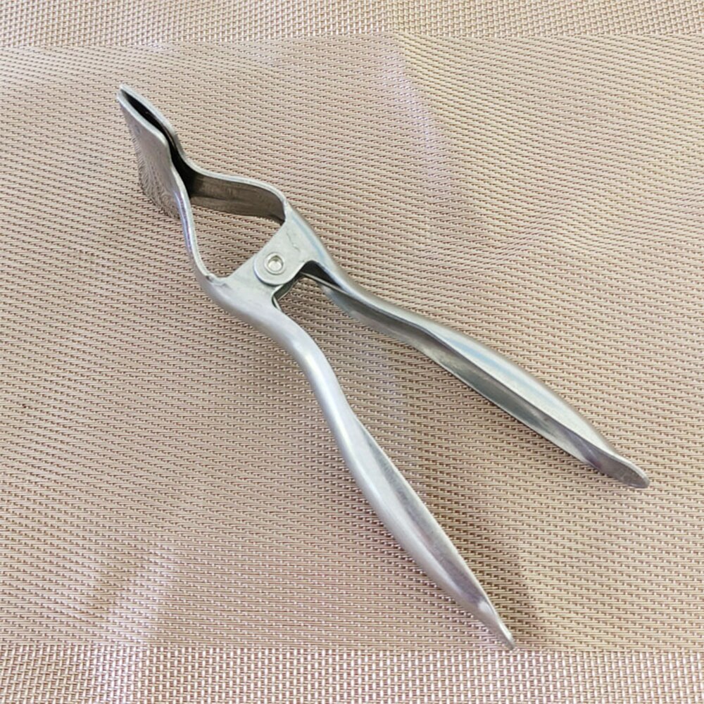 Lisslune | Stainless Steel Watermelon Cut in Half Tool