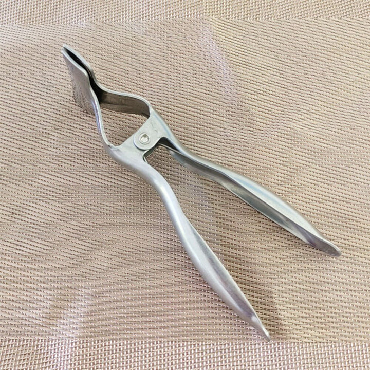 Lisslune | Stainless Steel Watermelon Cut in Half Tool