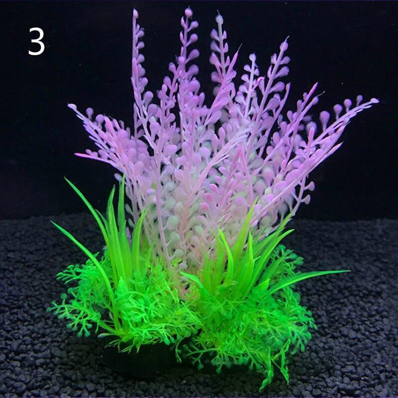 Lisslune | Aquatic Paradise: 12 Unique Plant Varieties for Lively Aquarium Landscapes