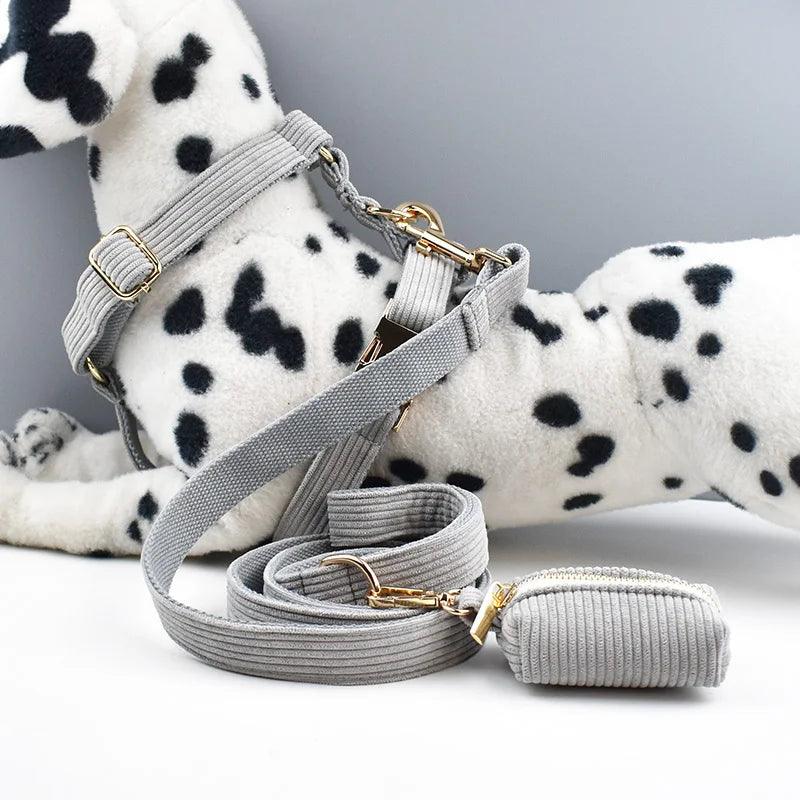 Lisslune | Personalized light gray cord collar and leash set with stylish accessories