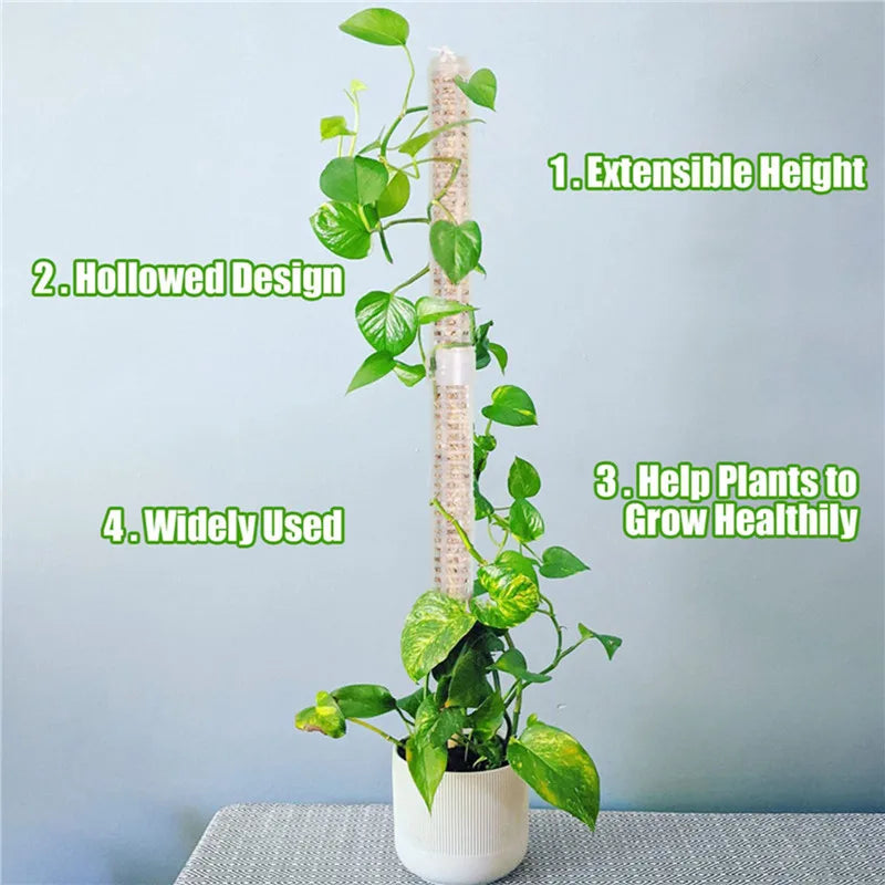 Lisslune | Pillar for climbing plants and green plants – Support columns for vertical plant cultivation