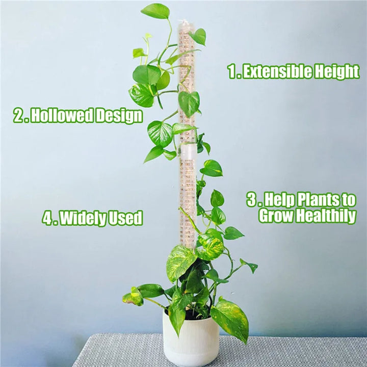 Lisslune | Pillar for climbing plants and green plants – Support columns for vertical plant cultivation