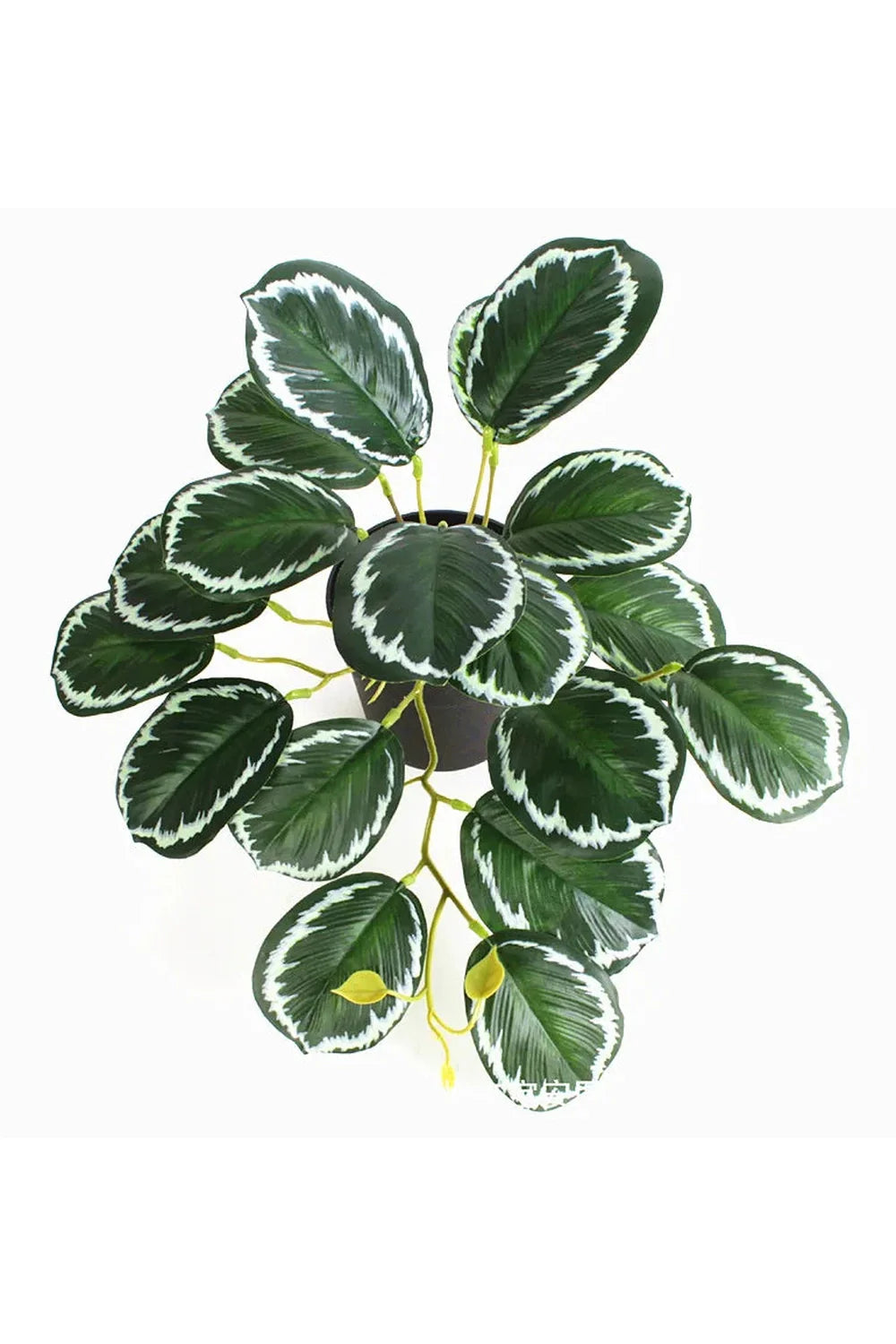 Lisslune | Green Artificial Plants