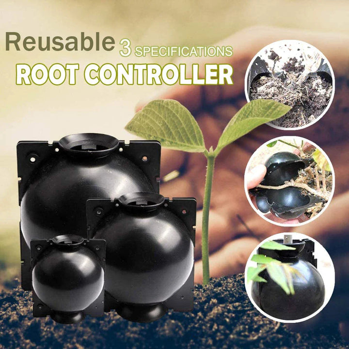 Lisslune | Plant protection balls for roots – Protective caps for safe replanting and growth