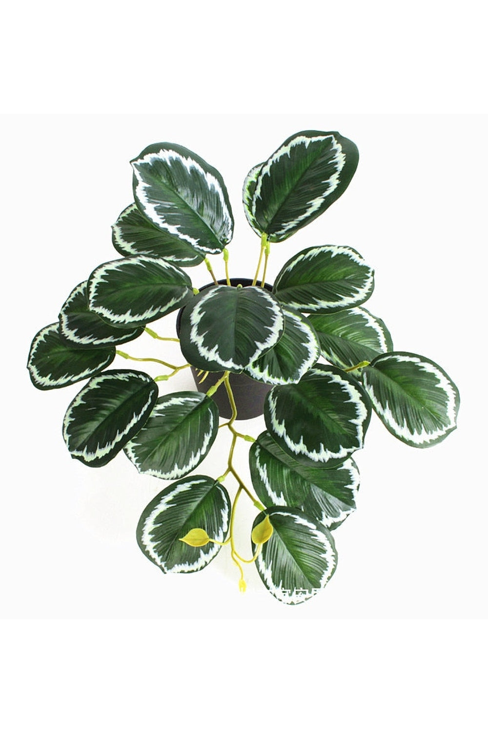 Lisslune | green grapevine wall decoration