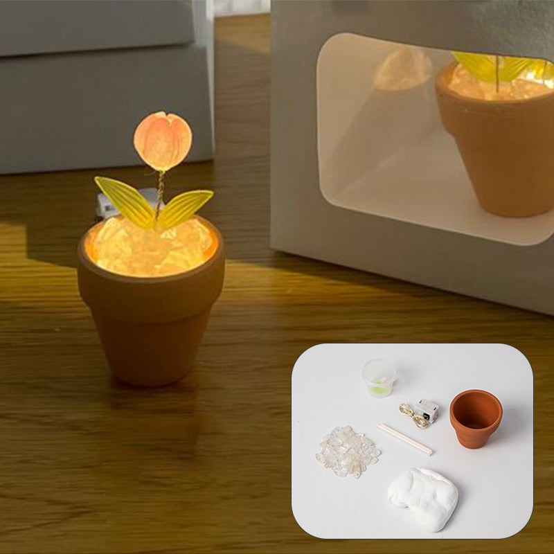 Lisslune | Creative DIY Rose Glow Night Lamp Decor