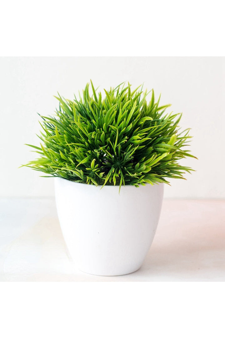 Lisslune | Bonsai Artificial Plant