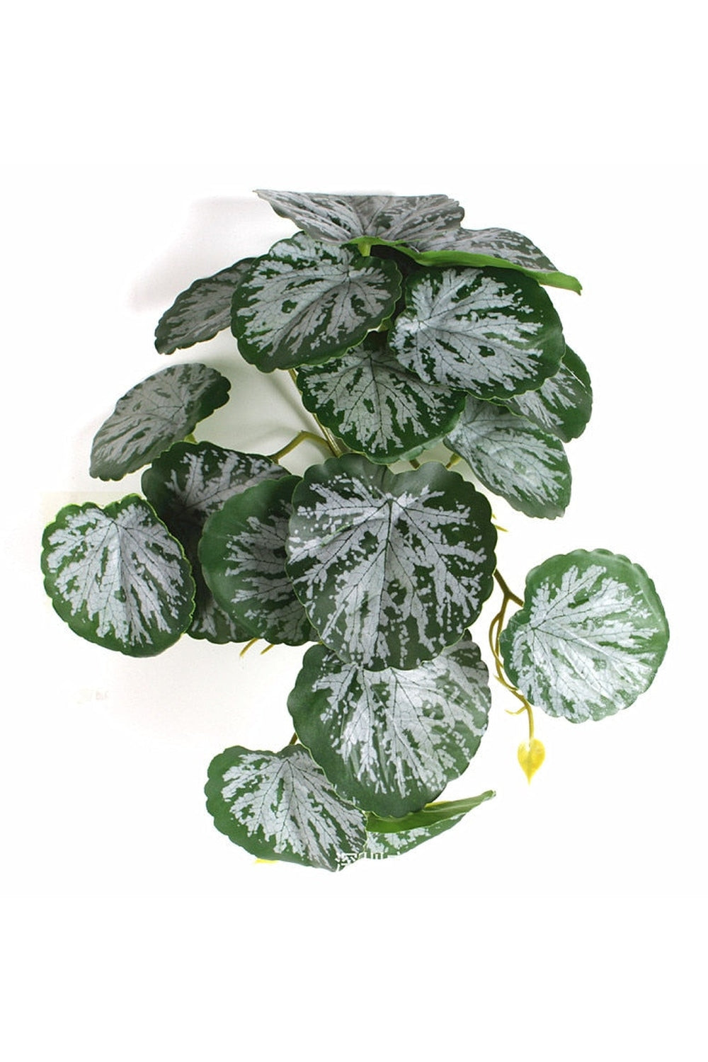 Lisslune | green grapevine wall decoration