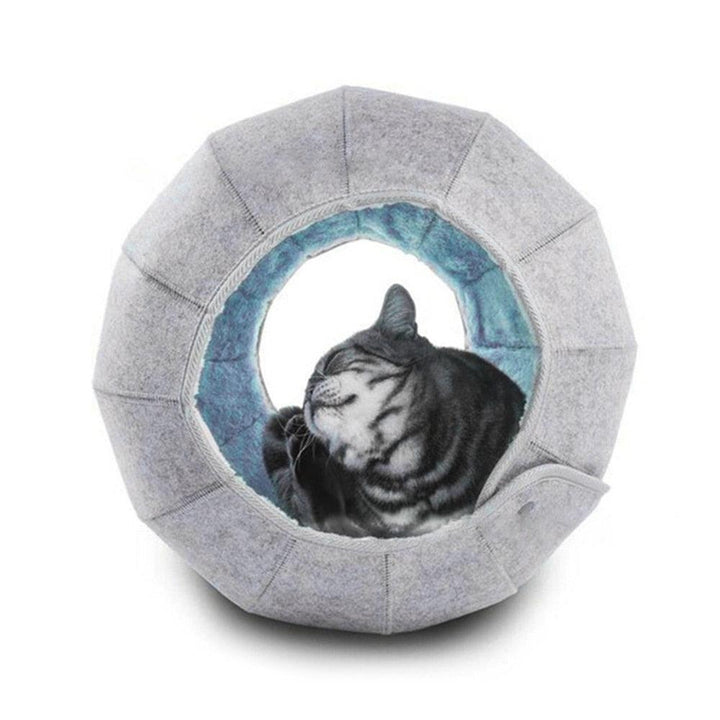 Lisslune | Cozy Conch Cat Shelter & Multifunctional Play Tunnel: The Perfect Escape for Your Friendly Cat