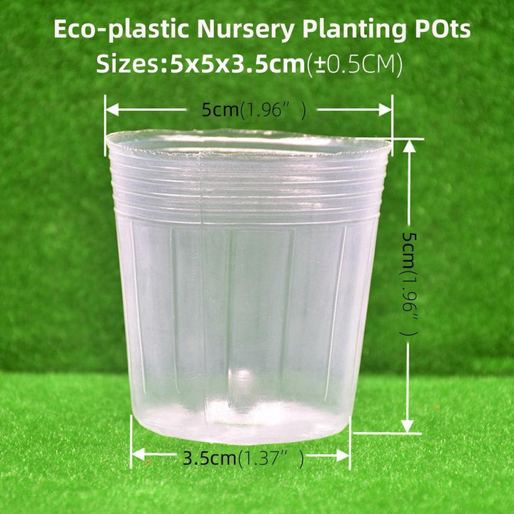 Lisslune | 100-piece clear plant growth cups: Successfully boost your garden