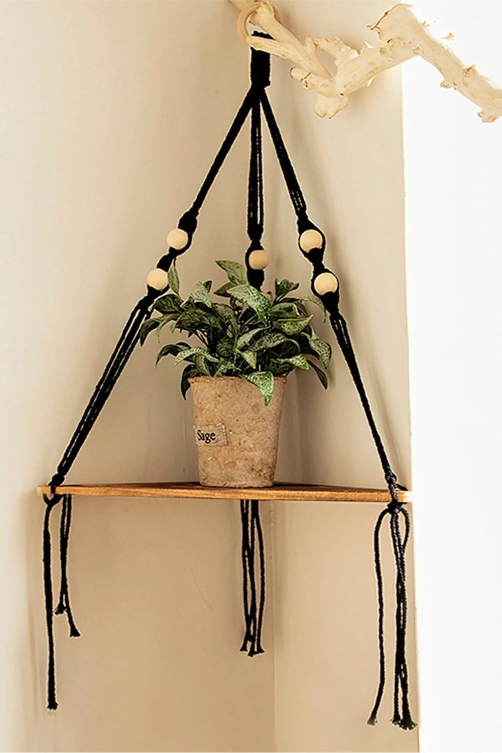 Lisslune | Corner wall shelf