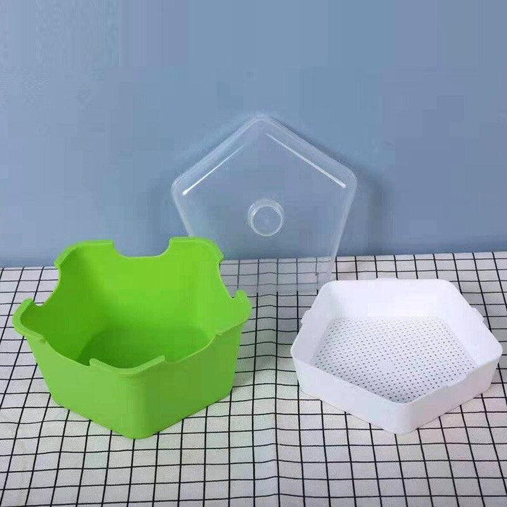 Lisslune | HomeSprout Deluxe Seed Sprouting System: Grow Your Own Fresh Superfoods with Ease