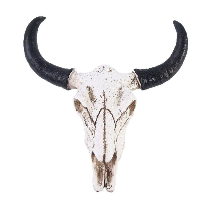 Lisslune | HornAura - Longhorn Skull for Your Interior