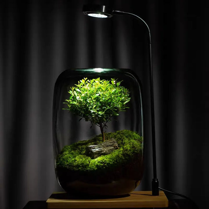 Lisslune | Micro Landscape Green Oasis Glass Vase