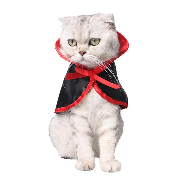 Lisslune | Cat Halloween costume