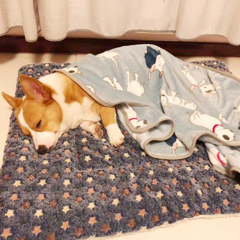Lisslune | Plush Flannel Pet Bed for Ultimate Comfort for Dogs and Cats