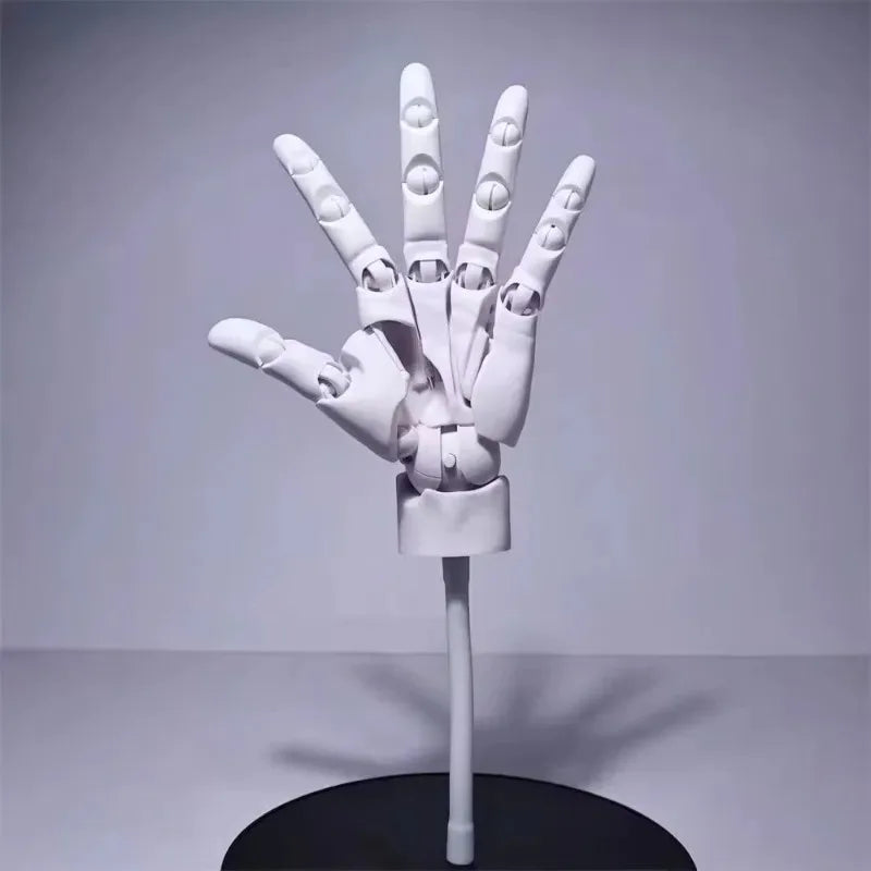 Lisslune | Multi-Pose Drawing Sculpting Art Hand Model