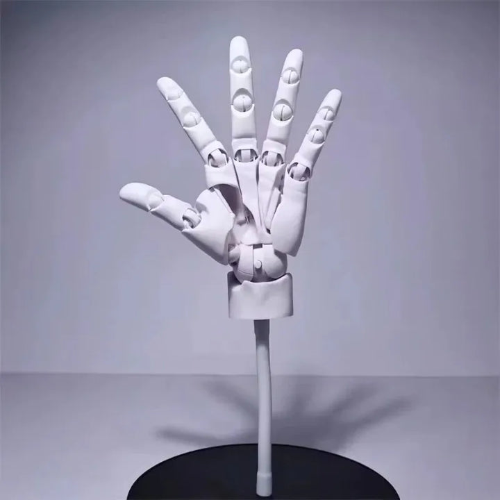 Lisslune | Multi-Pose Drawing Sculpting Art Hand Model