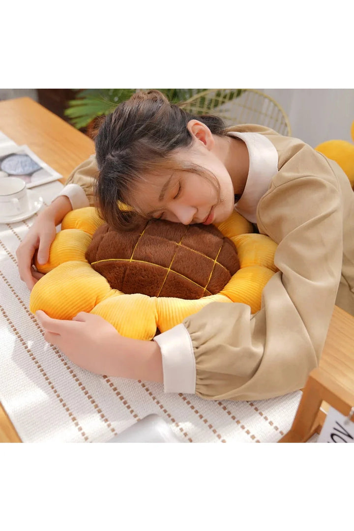 Lisslune | Plush pillow