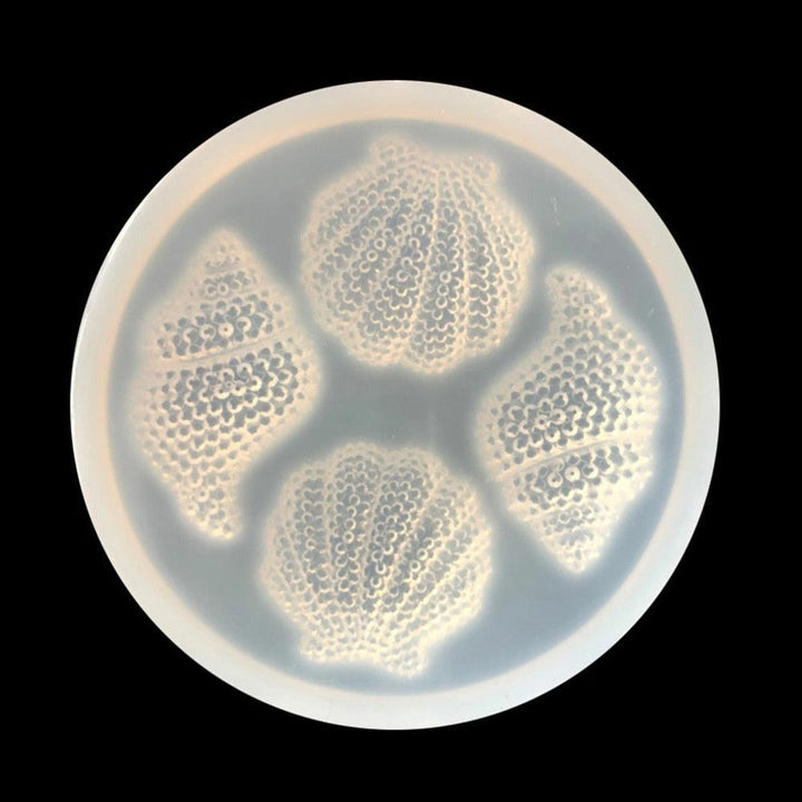 Lisslune | Artistic Shell and Cone Silicone Mold Set for Gourmet Baking Creations