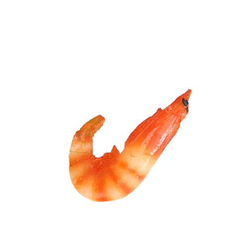 Lisslune | Realistic PVC Shrimp Sculpture for Home Decor and Creative Play