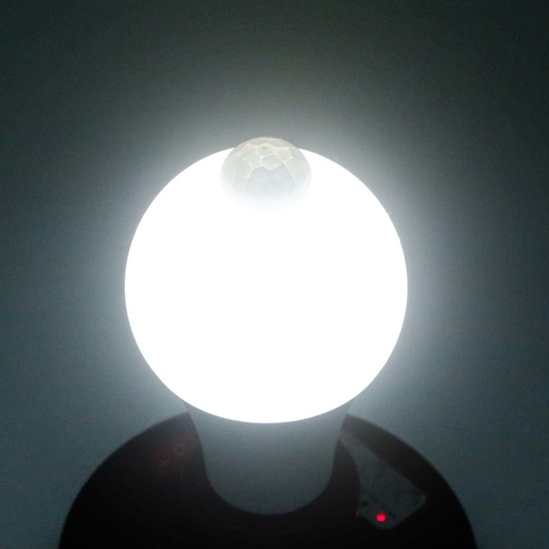 Lisslune | 12 Watt Motion Sensor LED Lamp E27