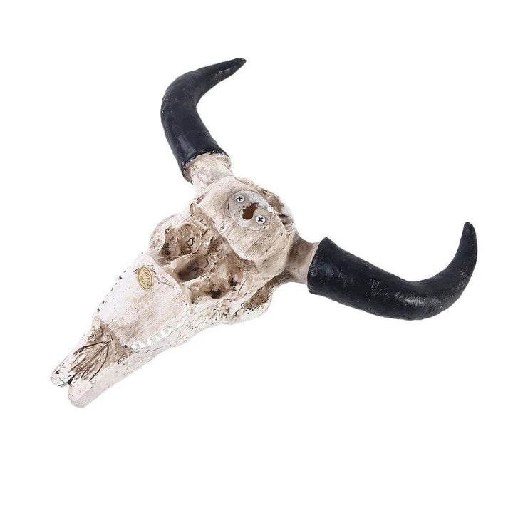 Lisslune | HornAura - Longhorn Skull for Your Interior
