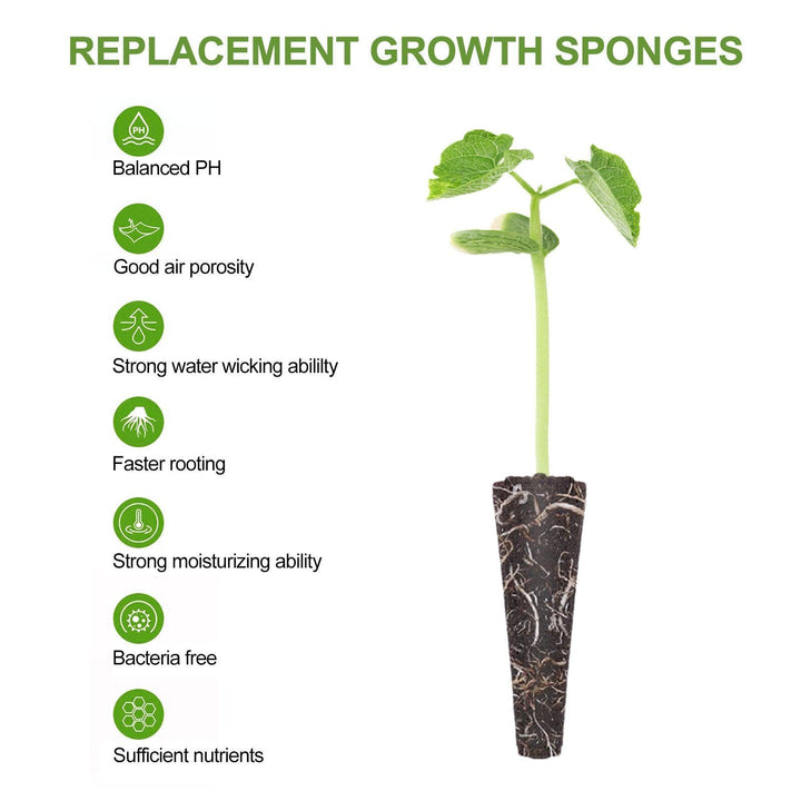 Lisslune | Carrot-Boosting Hydroponic Seedling Pods for Easy Gardening
