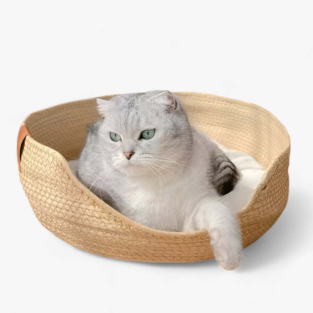 Lisslune | Handwoven Bamboo Pet Bed with Soft Cushion – Luna Nest