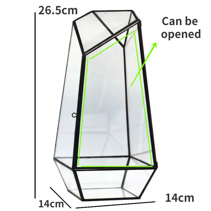 Lisslune | Modern Geometric Nature-Inspired Botanical Terrarium