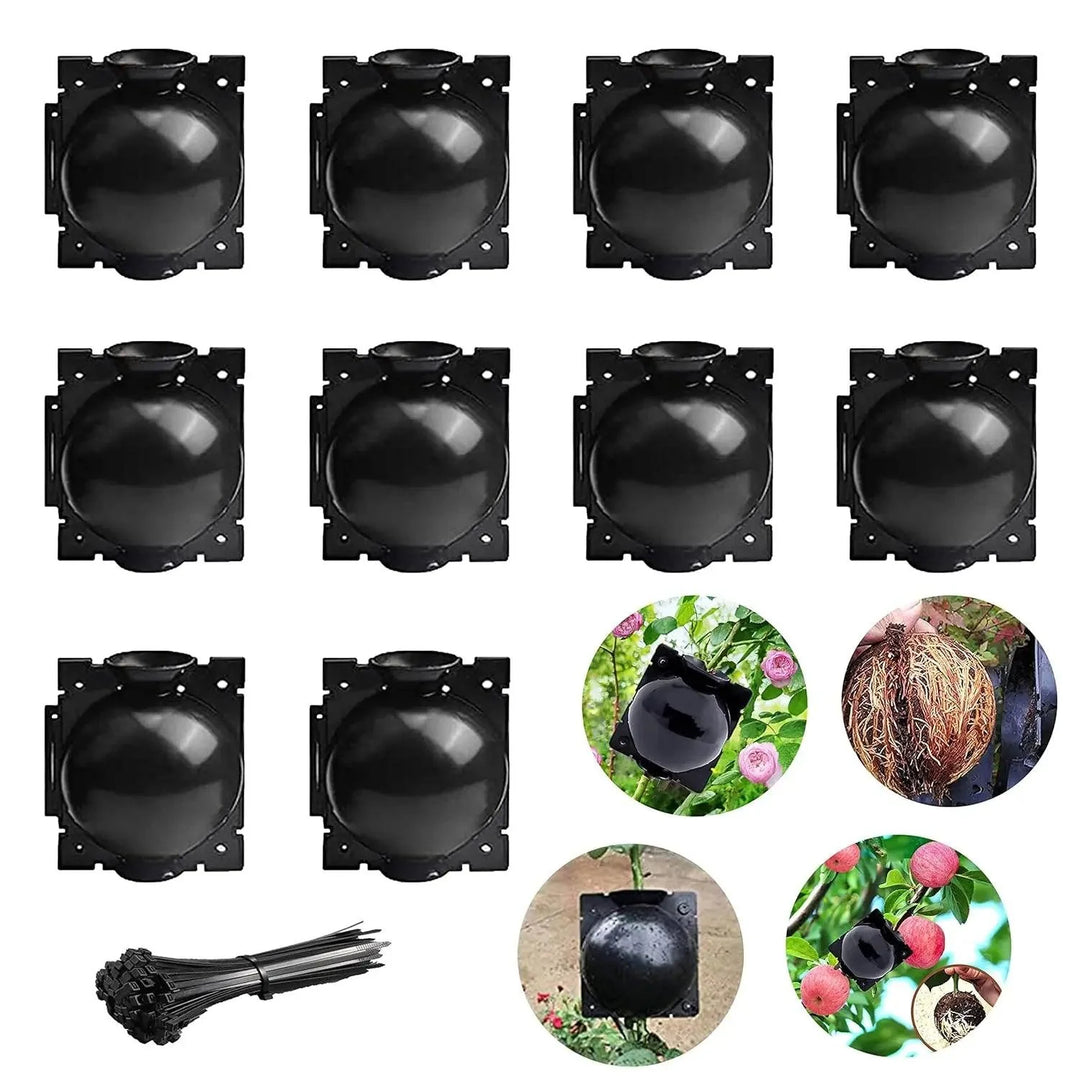 Lisslune | 10-Pack Reusable Plant Root Balls for Seamless Air Layering and Propagation