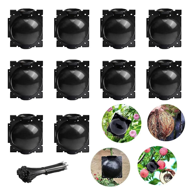 Lisslune | 10-Pack Reusable Plant Root Balls for Seamless Air Layering and Propagation