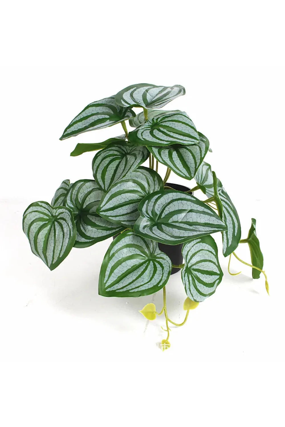 Lisslune | Green Artificial Plants