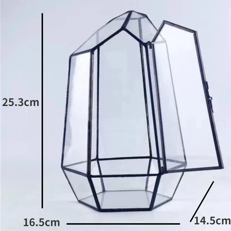 Lisslune | Modern Geometric Nature-Inspired Botanical Terrarium
