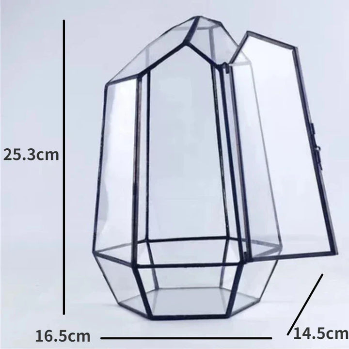 Lisslune | Modern Geometric Nature-Inspired Botanical Terrarium