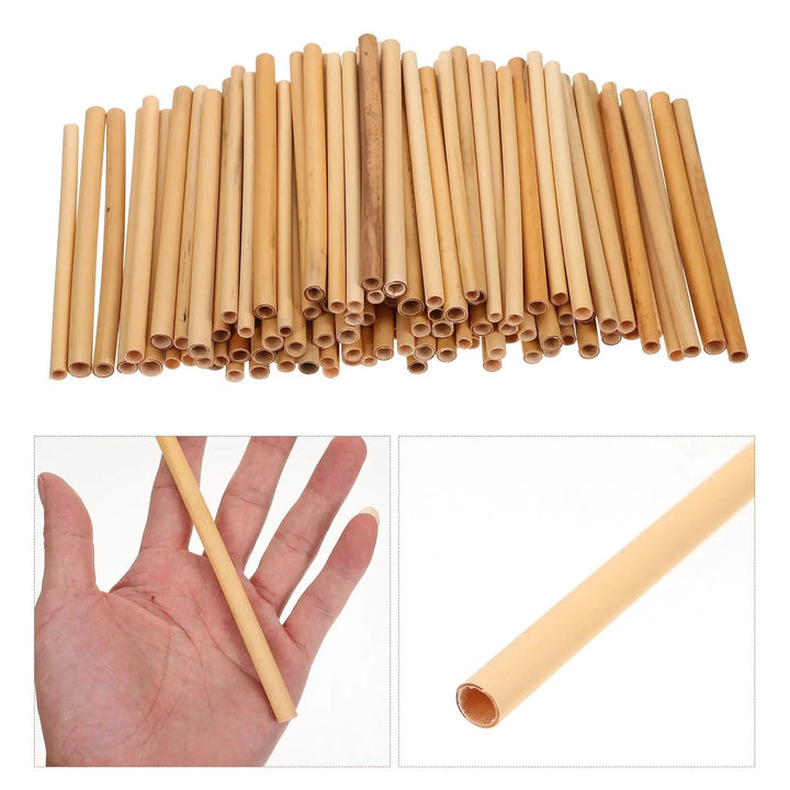 Lisslune | 100 pieces of eco-friendly bamboo bee tubes for improved pollination