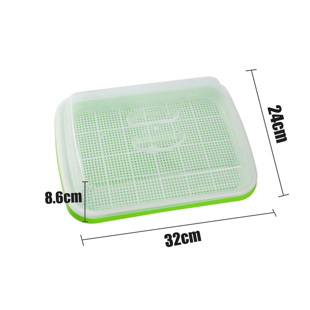 Lisslune | Sustainable Home Sprout Growth Kit - Simple Green & White Seed Tray Solution
