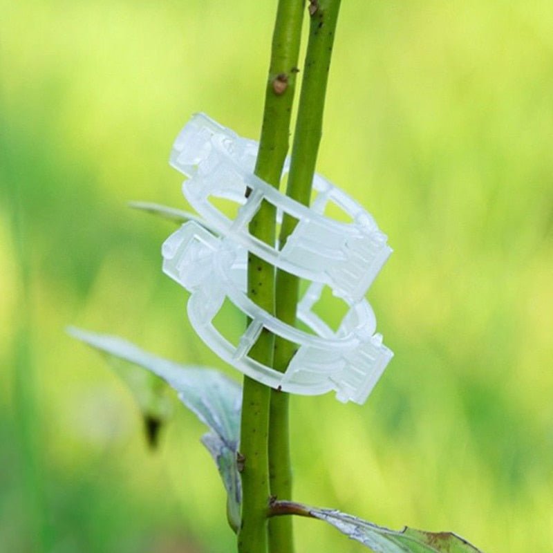 Lisslune | Reusable Plant Supports Tomato Clips