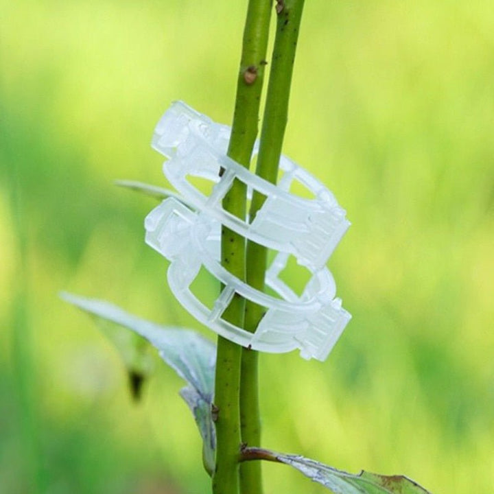 Lisslune | Reusable Plant Supports Tomato Clips