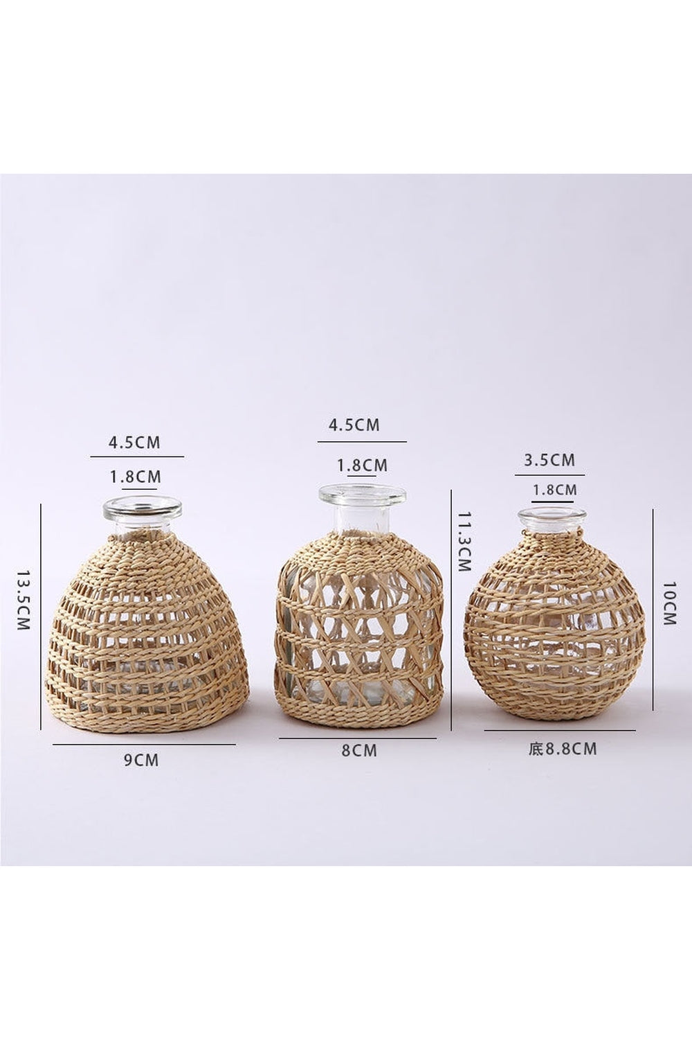 Lisslune | Academy Rattan Glass Vases