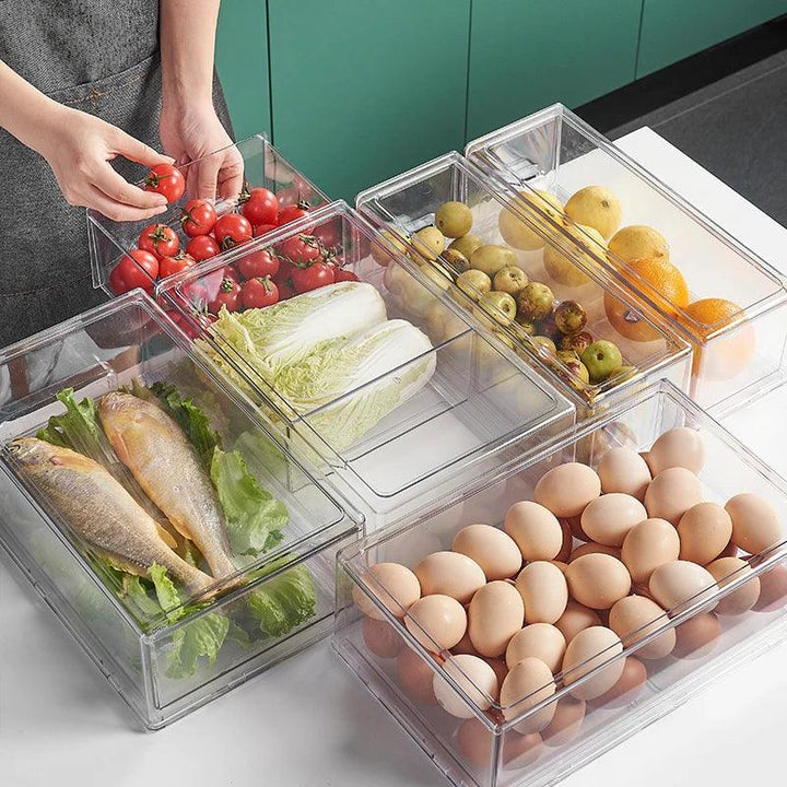 Lisslune | Refrigerator organization freshness container - Ultimate storage solution for neat cooling