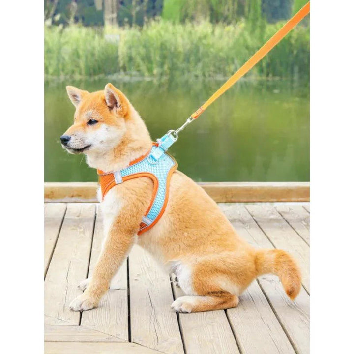 Lisslune | Reflective Adjustable Pet Harness and Leash Set - Breathable Vest for Small to Medium Dogs and Cats