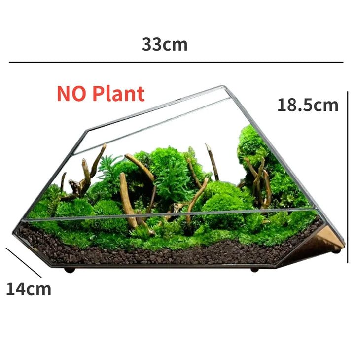 Lisslune | Geometric Glass Moss Planter Terrarium Vase