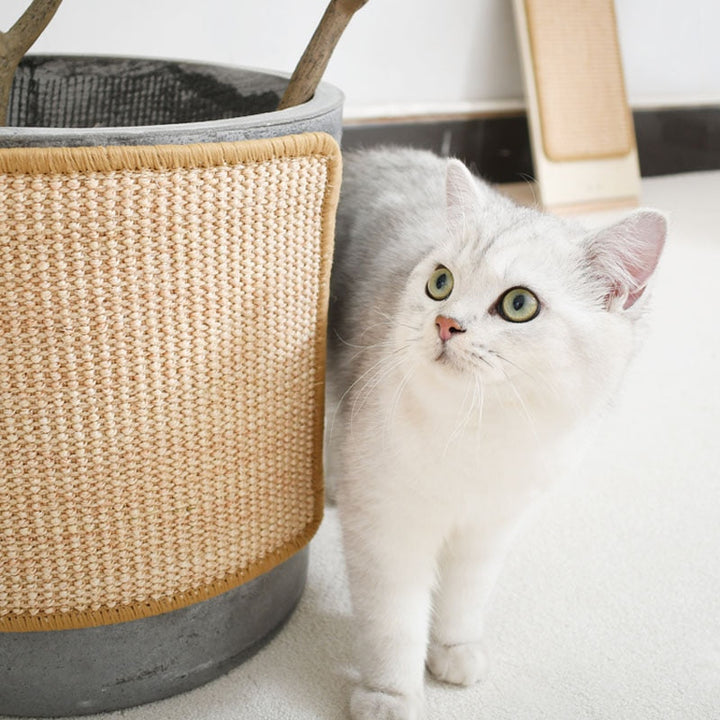 Lisslune | Couch Cat Scratch Furniture Guards Mat