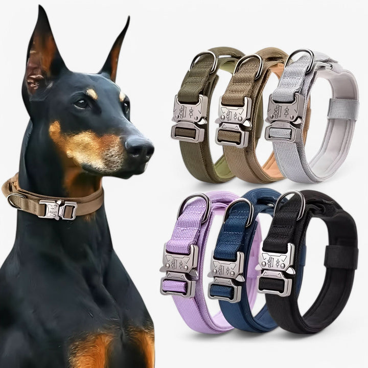 Lisslune | OutdoorHeld Dog Collar – For active dogs with endurance