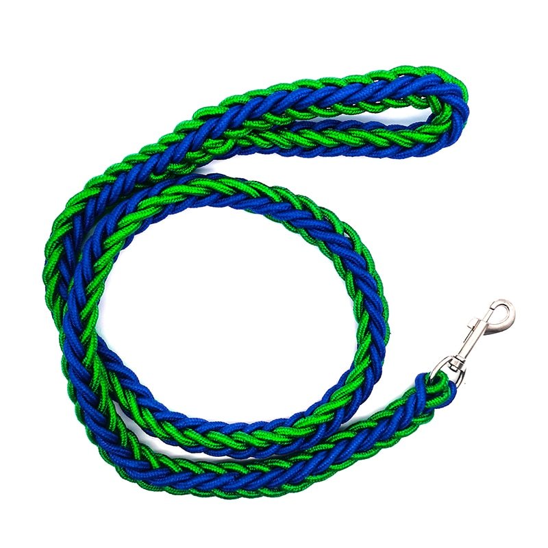 Lisslune | Braided short dog leash for large dogs